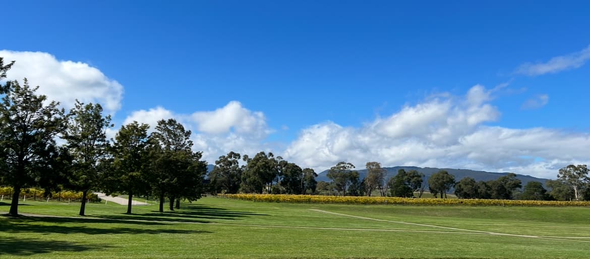 Landscape